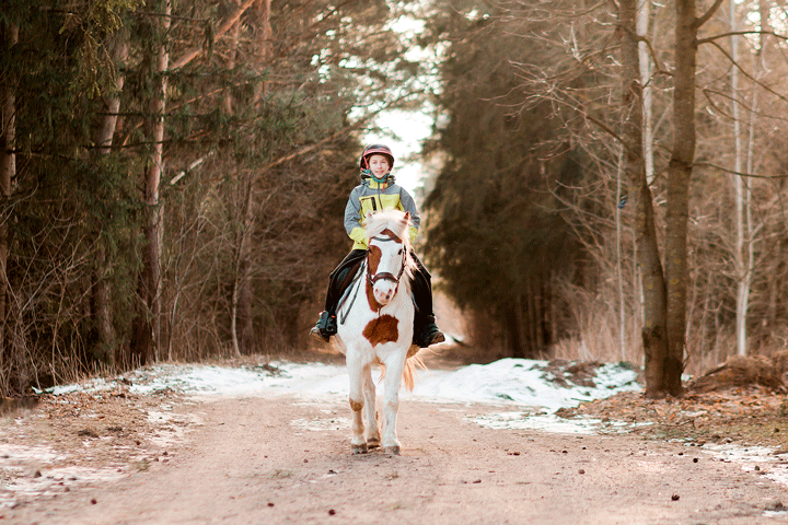 Прогулка на пони для детей в Green Ranch